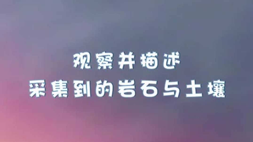 四年级5月11日科学